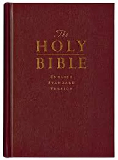 Bible AI profile