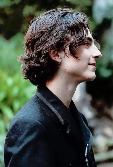 Timothée Chalamet profile