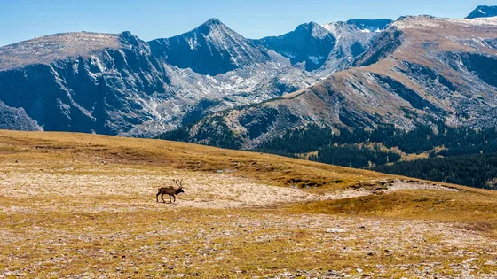 Trip Planner profile
